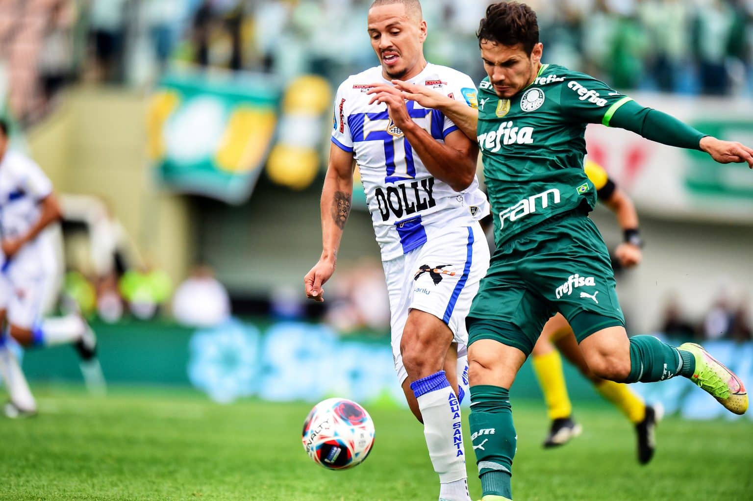 Veiga destaca preparação e se apega em histórico de viradas do Palmeiras para bater o Água Santa
