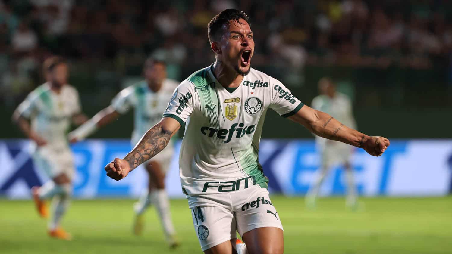 Goiás x Palmeiras – Resultado, destaques e reação
