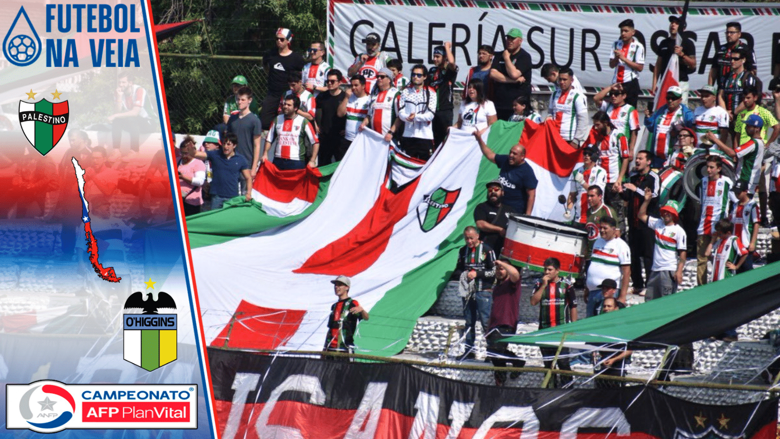 Palpite Palestino x O&rsquo;Higgins &ndash; 19/05 &ndash; Campeonato Chileno 2023
