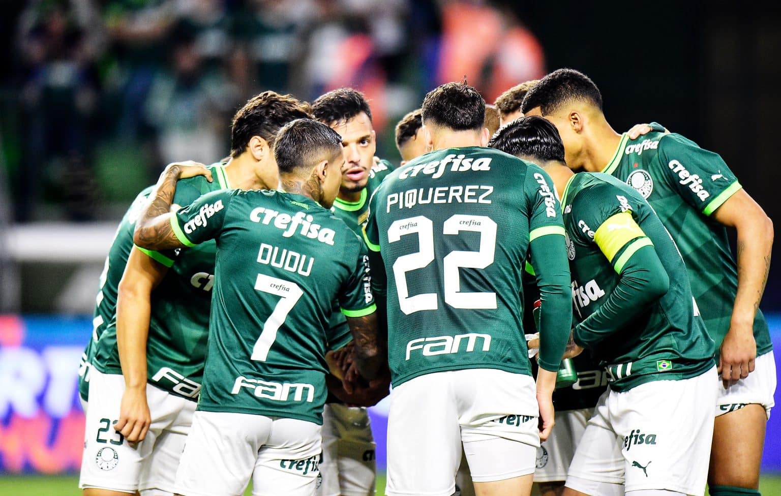 Palmeiras perde titular absoluto por tempo indeterminado