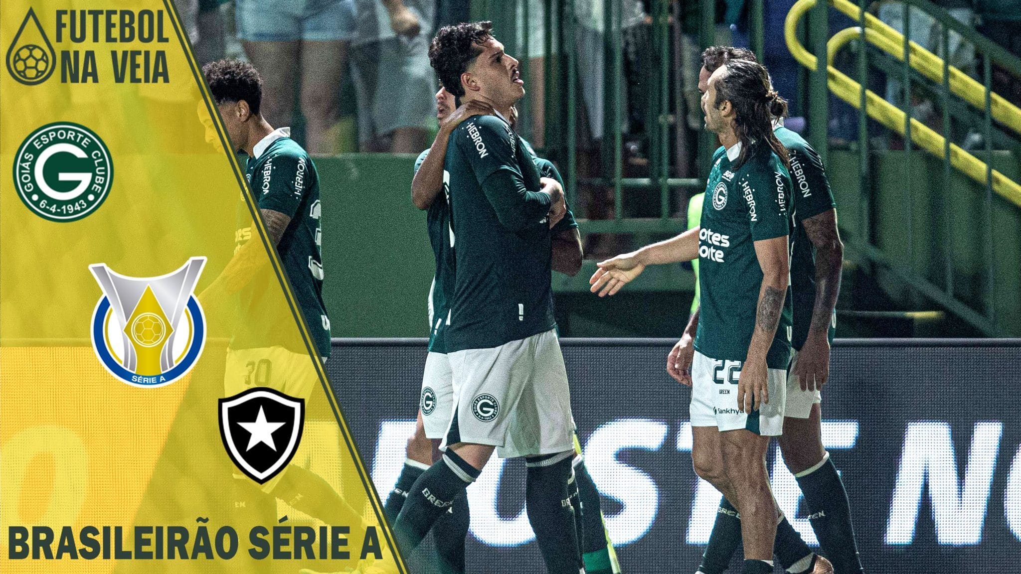 Palpite Goi&aacute;s x Botafogo &ndash; 14/05 &ndash; Brasileir&atilde;o S&eacute;rie A 2023