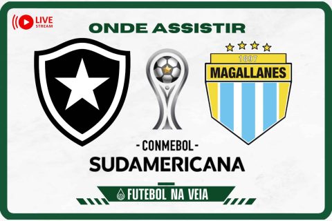 Botafogo x Magallanes ao vivo e online: onde assistir, hor&aacute;rio e escala&ccedil;&atilde;o no Sul-Americana 2023