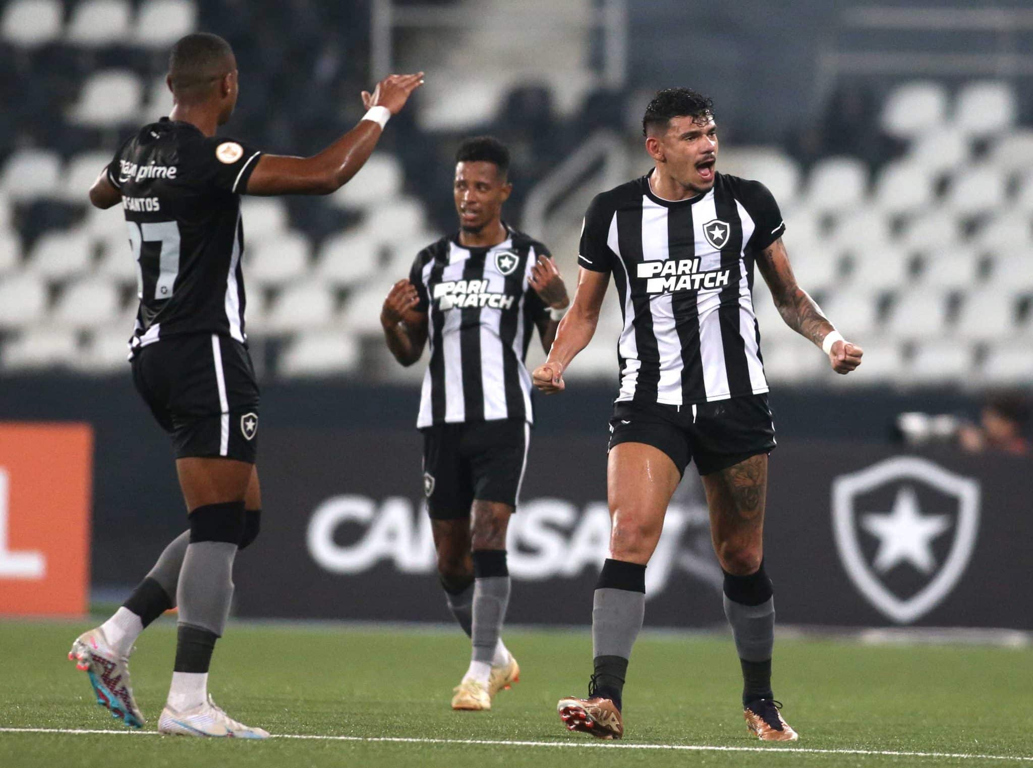 Botafogo acumula 21 jogos em mais de dois meses e &ldquo;voa&rdquo; em aproveitamento
