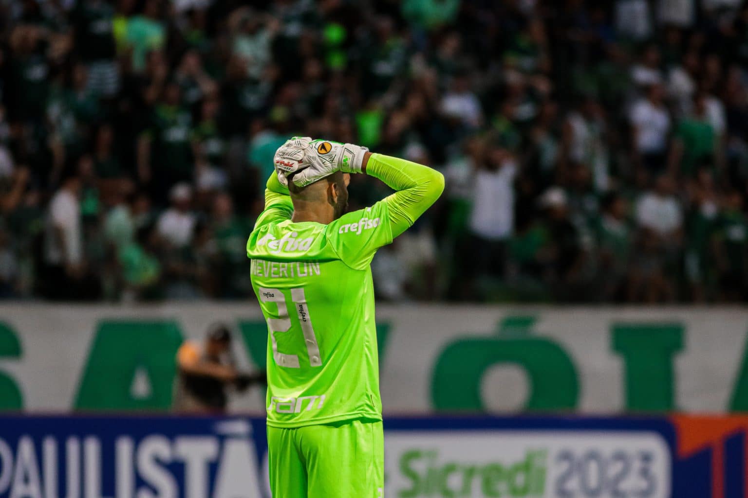 Dirigente conta que Weverton estava fechado com time de Benzema antes do Palmeiras