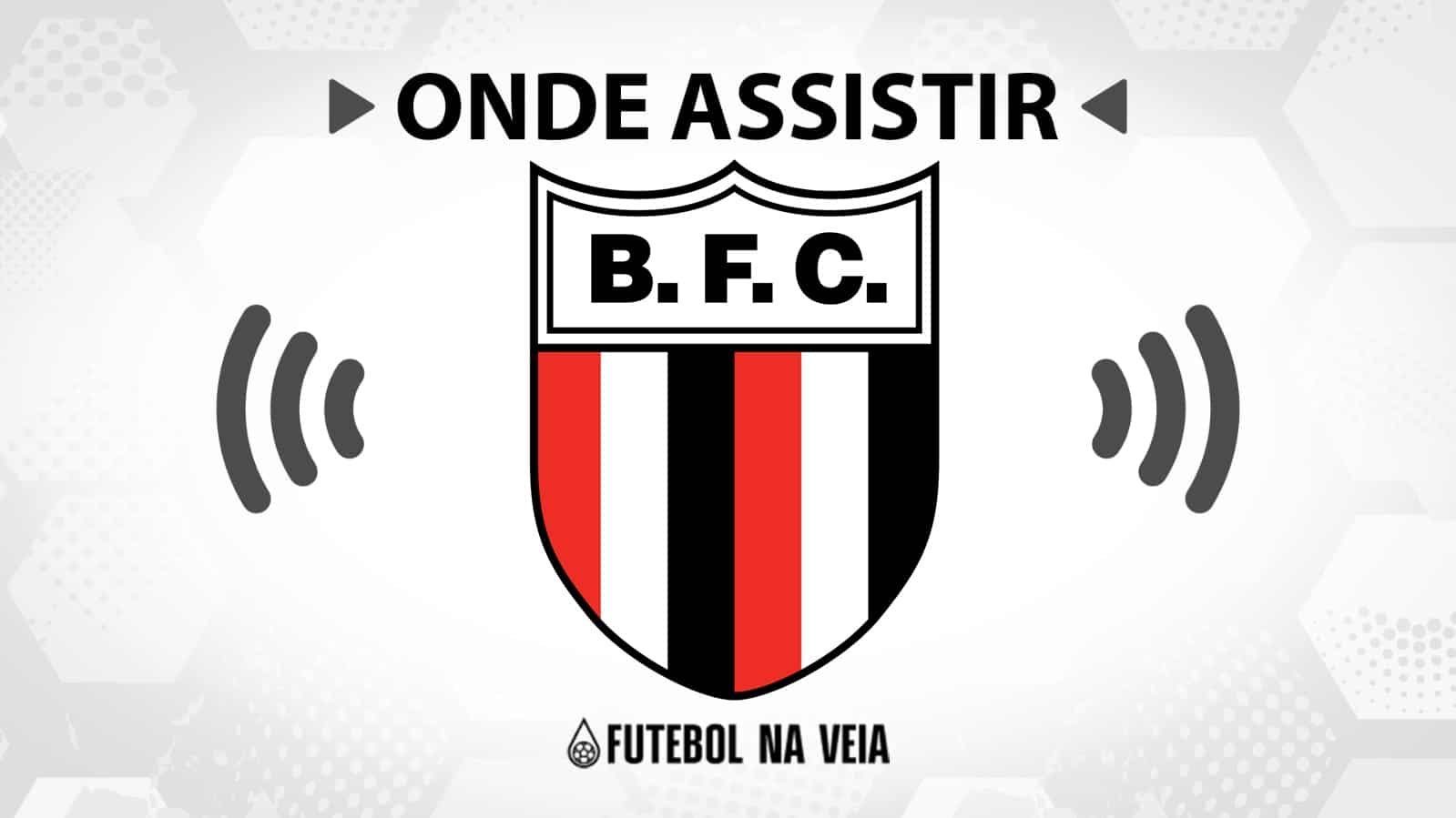Jogo do Botafogo-SP hoje ao vivo: onde assistir?