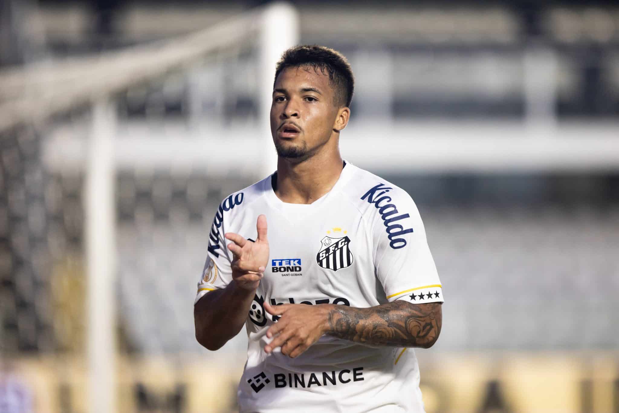 Santos: indignada, torcida aponta culpados ap&oacute;s vit&oacute;ria escapar na Vila