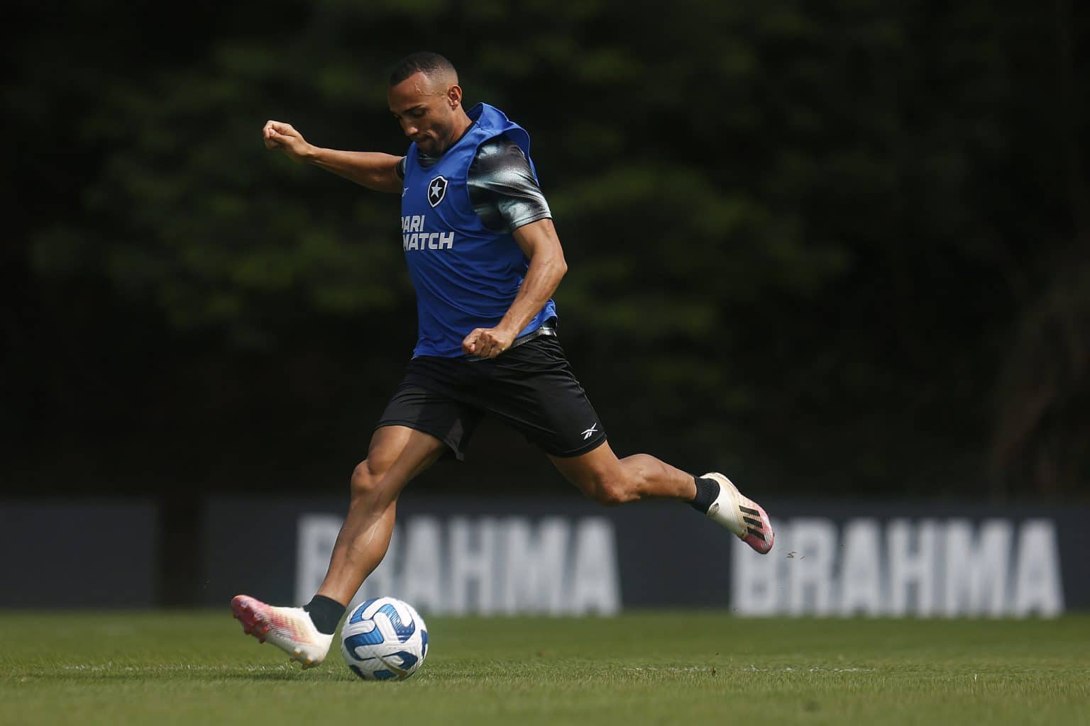 Botafogo tem volta de Marçal, mas poupa jogadores entre os relacionados na Sul-Americana