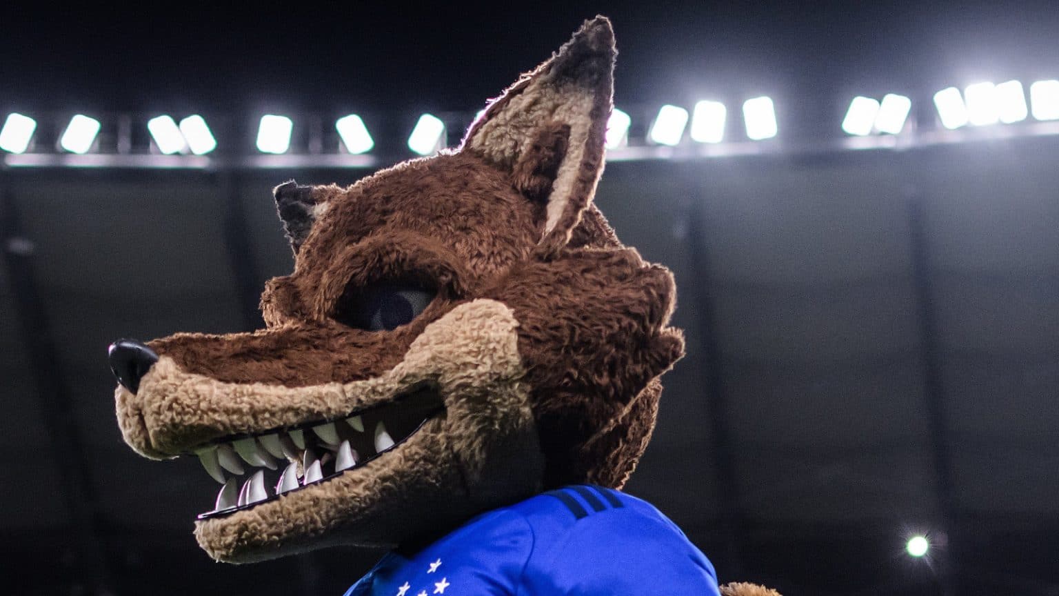 Cruzeiro apresenta novos Rapos&atilde;o e Raposinho aos torcedores; veja v&iacute;deo