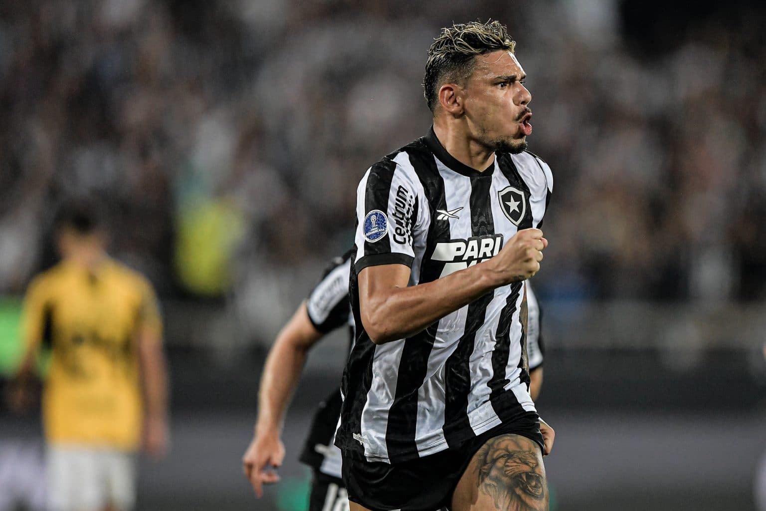 Botafogo: alvinegros se declaram para Tiquinho ap&oacute;s atacante decidir na Sul-Americana