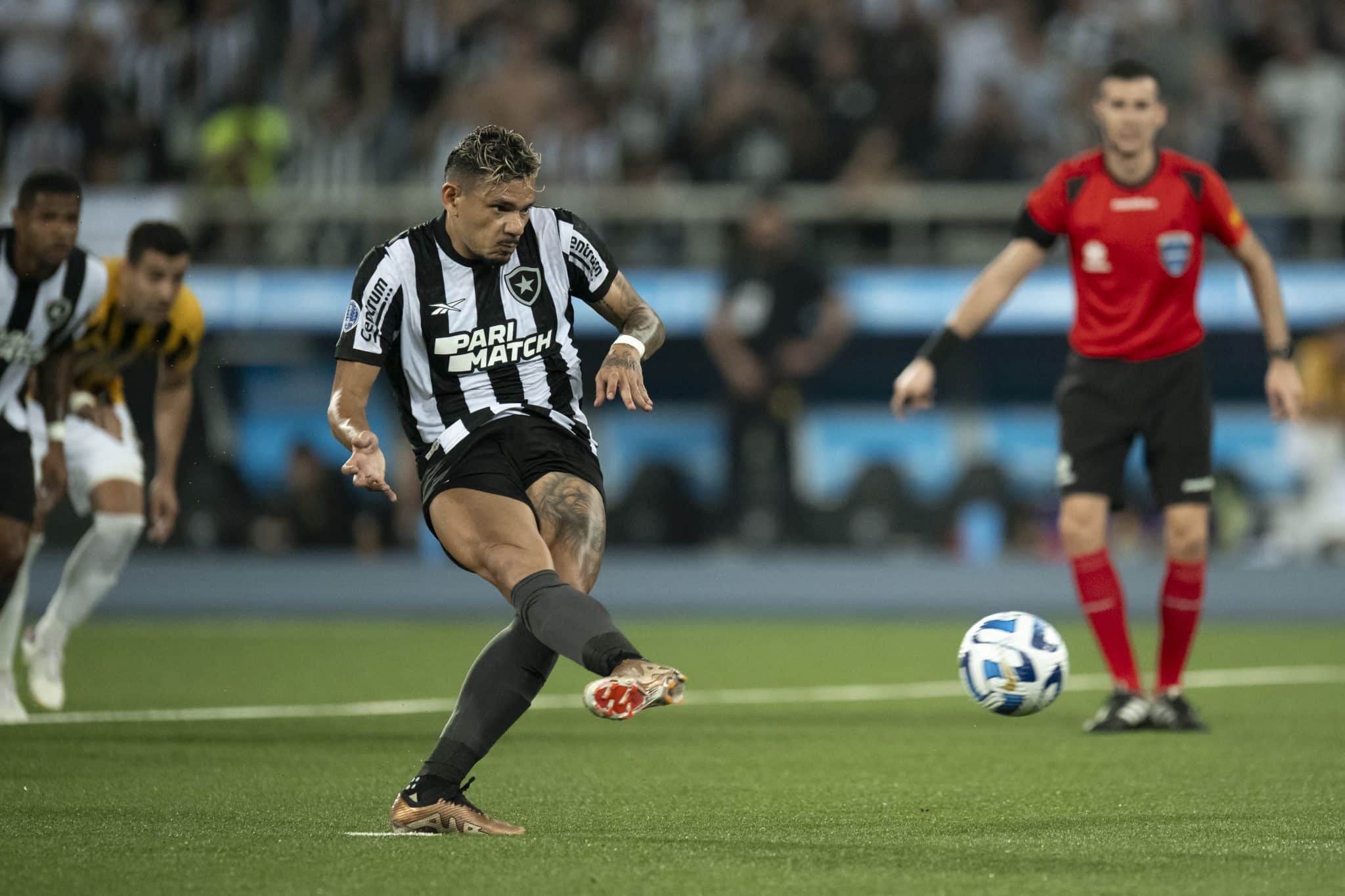 Botafogo: alvinegros se declaram para Tiquinho ap&oacute;s atacante decidir na Sul-Americana