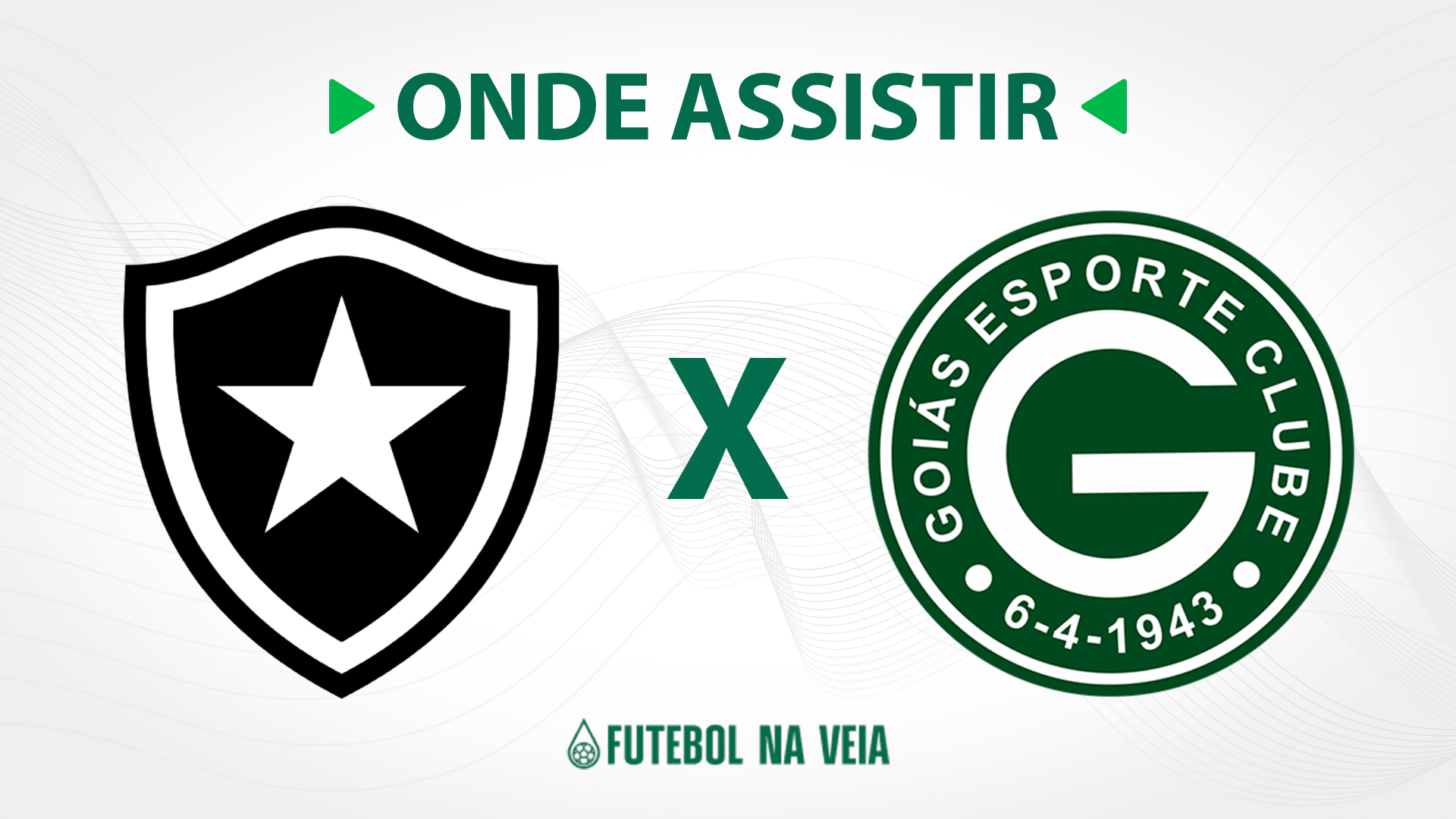 Botafogo x Goi&aacute;s &ndash; onde assistir ao vivo, hor&aacute;rio do jogo e escala&ccedil;&otilde;es