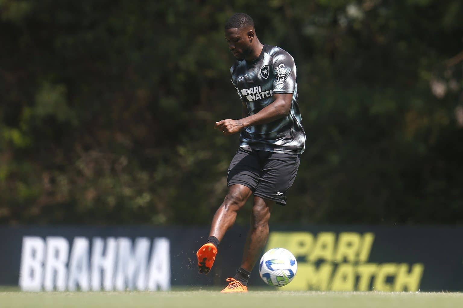 Botafogo: zagueiro Bastos &eacute; regularizado e pode estrear pelo clube
