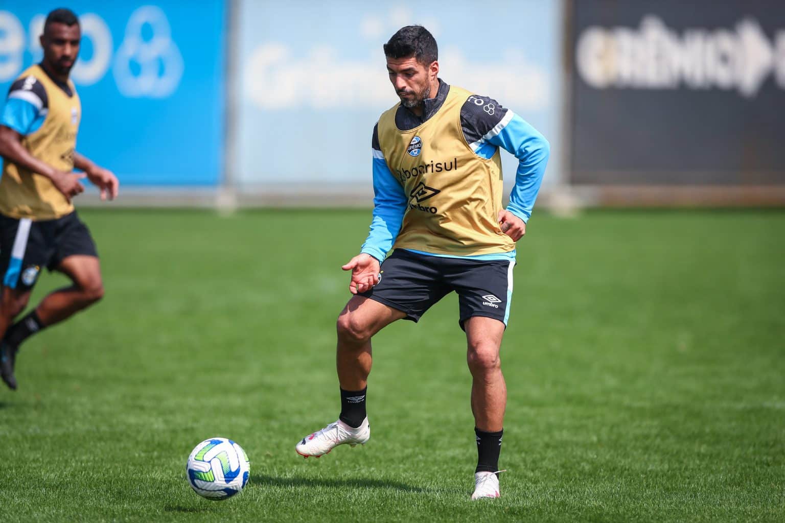 Gr&ecirc;mio: Su&aacute;rez retorna e Geromel evolui em recupera&ccedil;&atilde;o