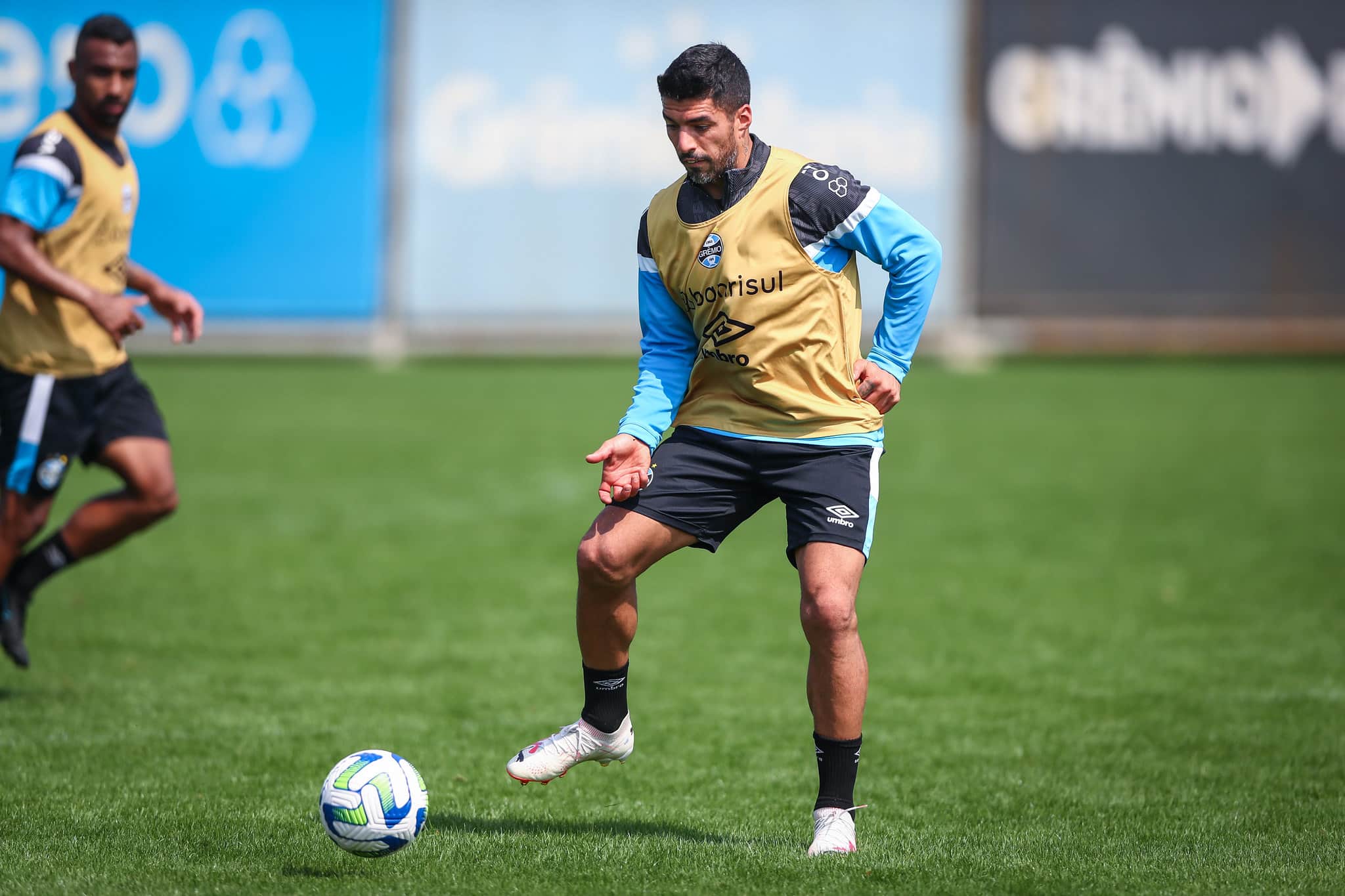Gr&ecirc;mio: Su&aacute;rez retorna e Geromel evolui em recupera&ccedil;&atilde;o