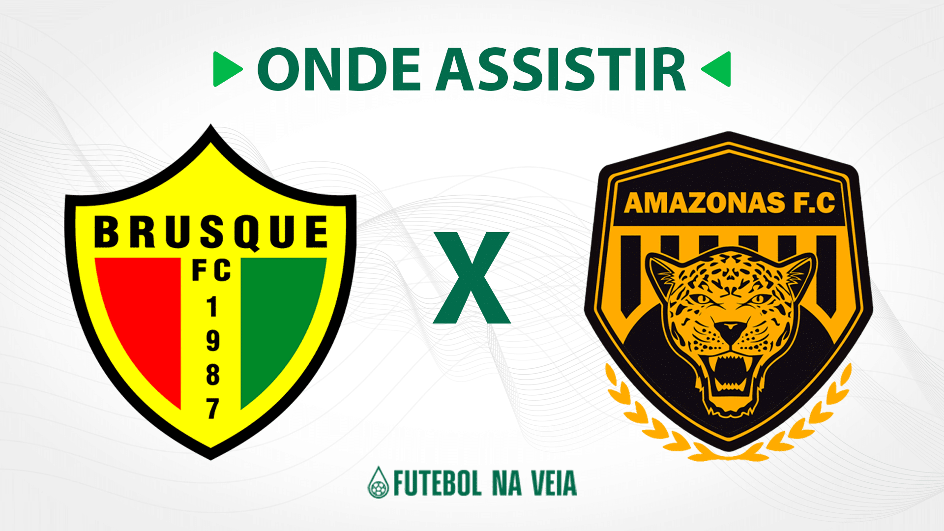 Brusque x Amazonas &ndash; onde assistir ao vivo, hor&aacute;rio do jogo e escala&ccedil;&otilde;es