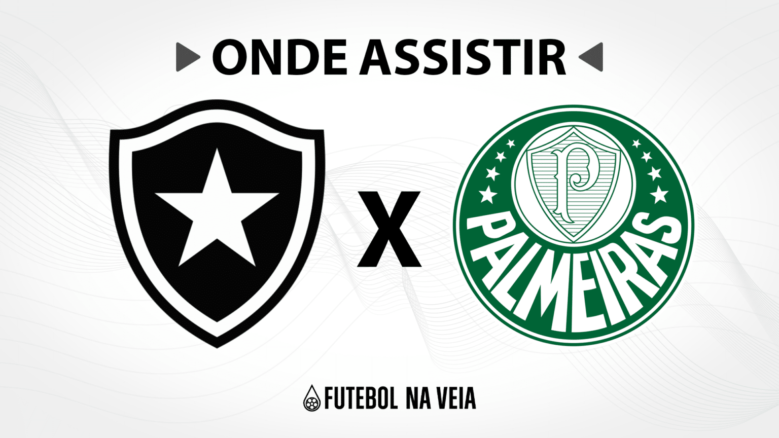 Botafogo x Palmeiras &ndash; Onde assistir ao vivo, hor&aacute;rio do jogo e escala&ccedil;&otilde;es