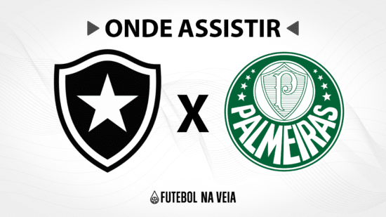 Botafogo x Palmeiras &ndash; Onde assistir ao vivo, hor&aacute;rio do jogo e escala&ccedil;&otilde;es