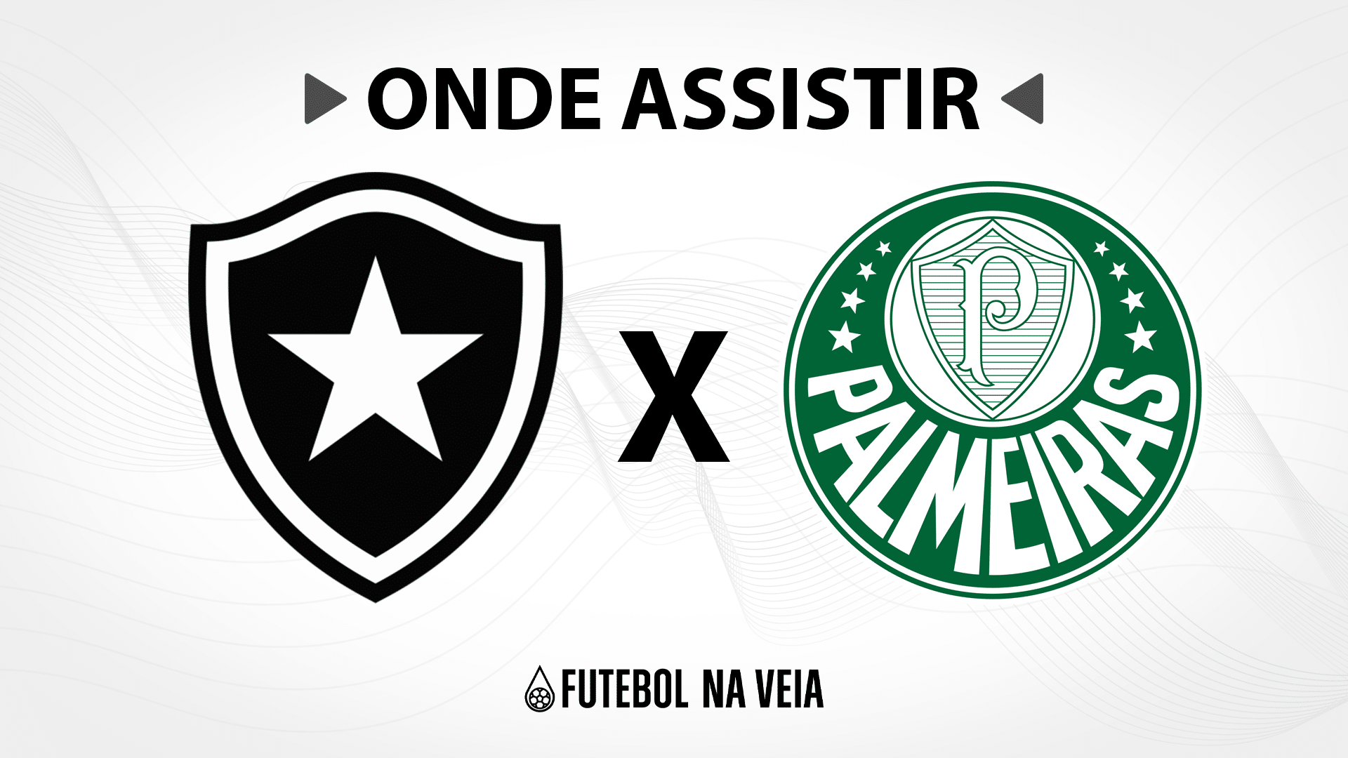 Botafogo x Palmeiras &ndash; Onde assistir ao vivo, hor&aacute;rio do jogo e escala&ccedil;&otilde;es