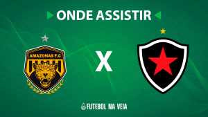 Brasileir&atilde;o S&eacute;rie C