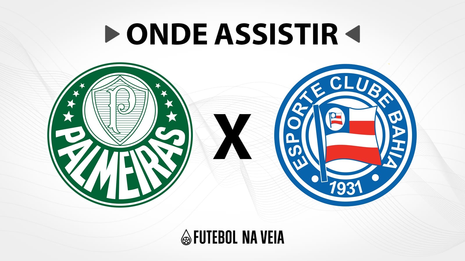 Palmeiras x Bahia &ndash; Onde assistir ao vivo, hor&aacute;rio do jogo e escala&ccedil;&otilde;es